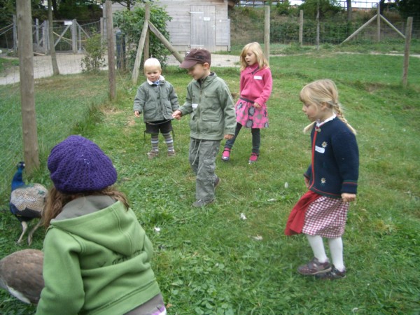 copyright J. Brandl, 2006
