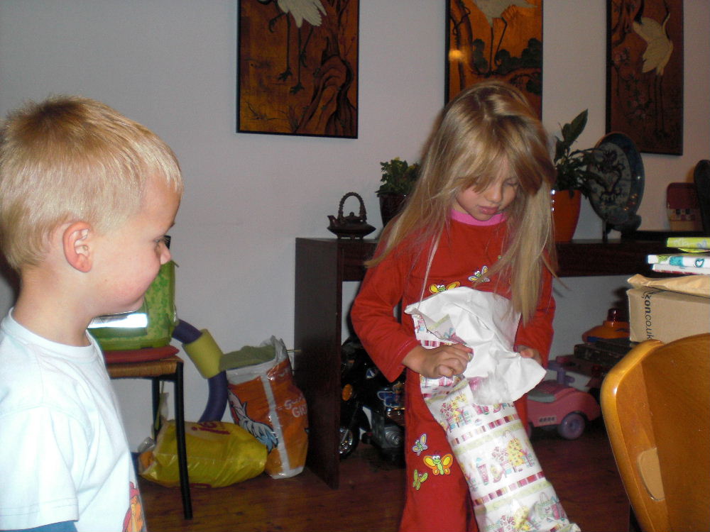 copyright J. Brandl, 2006