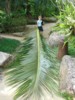 FOTO021.JPG