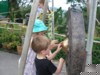 FOTO031.JPG