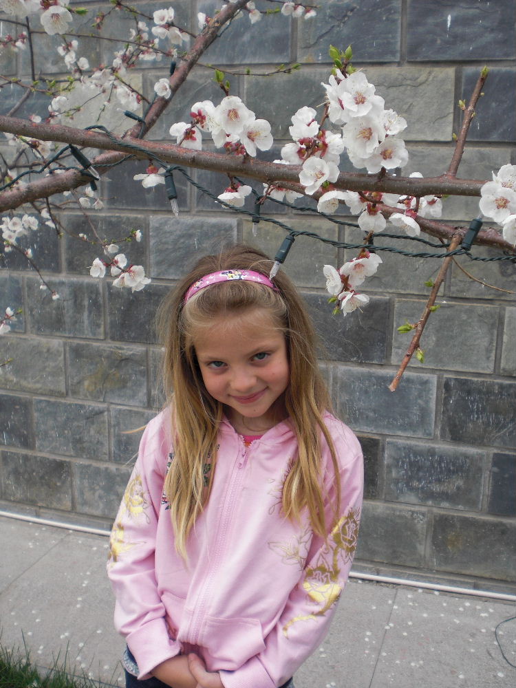 copyright J. Brandl, 2006