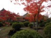 FOTO009.JPG