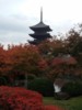 FOTO017.JPG
