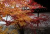 FOTO010.JPG