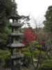 FOTO010.JPG