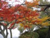 FOTO016.JPG