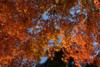FOTO011.JPG