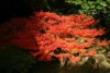 FOTO013.JPG