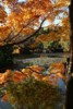 FOTO022.JPG