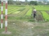 FOTO005.JPG