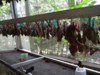 FOTO017.JPG