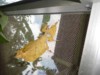 FOTO019.JPG