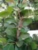 FOTO021.JPG