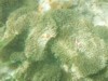 FOTO019.JPG