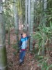 FOTO035.JPG