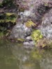 FOTO020.JPG