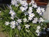 FOTO022.JPG