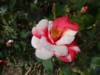 FOTO021.JPG