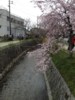 FOTO007.JPG