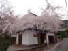 FOTO011.JPG