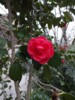 FOTO014.JPG
