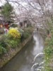 FOTO018.JPG