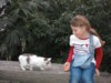FOTO020.JPG
