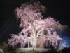 FOTO021.JPG