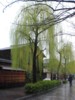 FOTO006.JPG