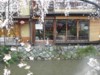 FOTO009.JPG