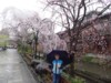 FOTO011.JPG