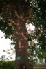 FOTO005.JPG