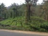 FOTO035.JPG