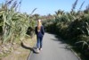 FOTO003.JPG