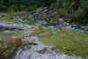 FOTO029.JPG