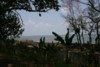 FOTO011.JPG