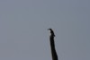 FOTO015.JPG
