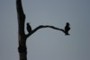 FOTO017.JPG