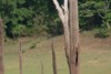 FOTO023.JPG