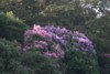 FOTO030.JPG