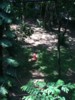 FOTO036.JPG