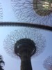 FOTO019.JPG
