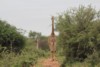 FOTO008.JPG