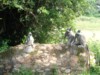 FOTO019.JPG