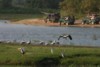 FOTO005.JPG