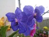 FOTO003.JPG