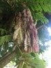 FOTO014.JPG