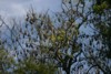 FOTO016.JPG