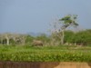 FOTO031.JPG