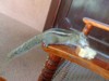 FOTO003.JPG